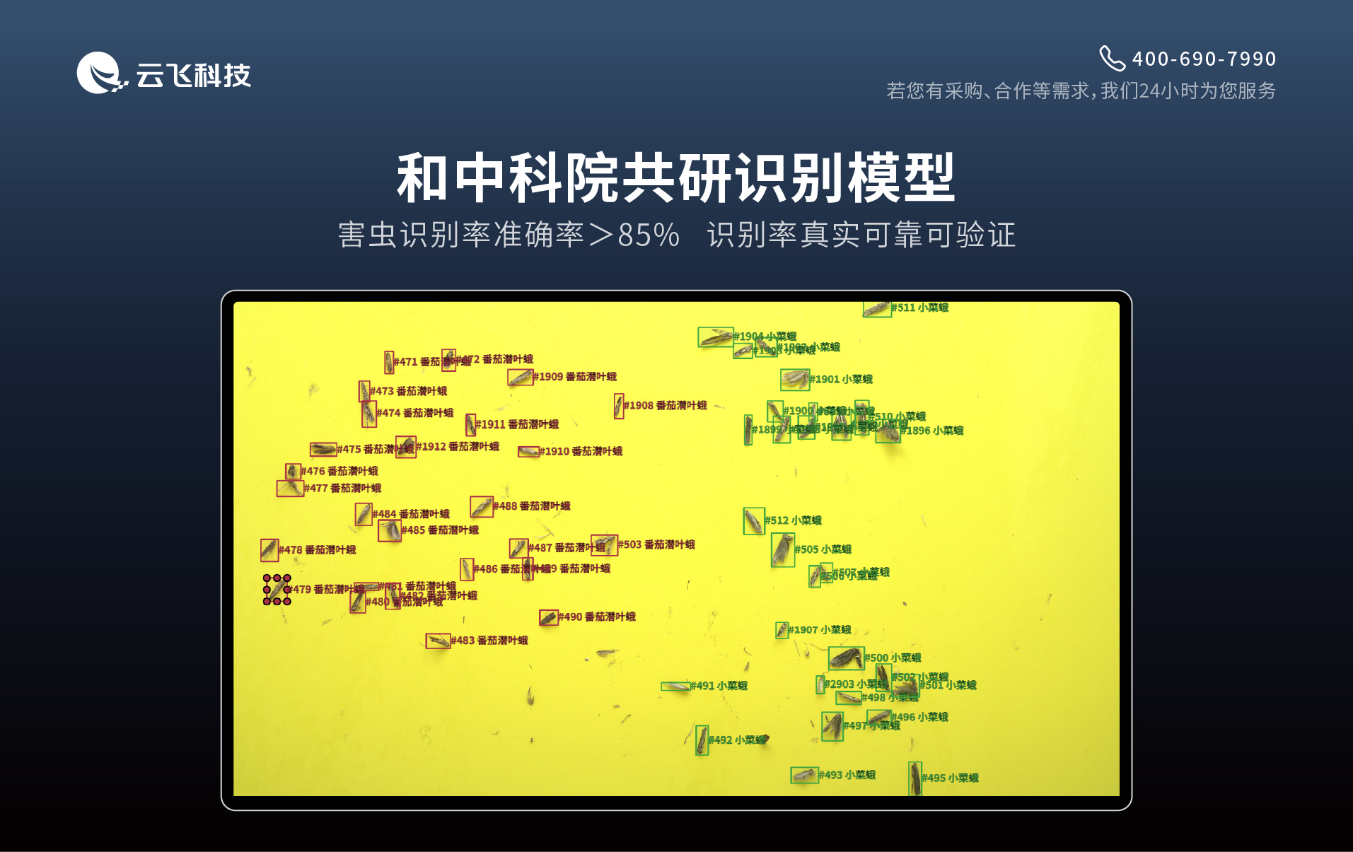 双重诱捕提效，色诱虫情测报系统兼顾色板与性诱芯
