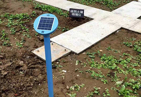 新乡原阳农业种植基地