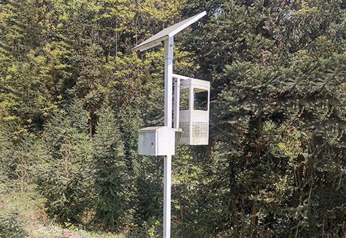 安顺某森林公园（老款设备）