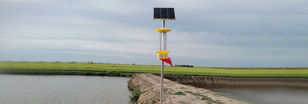 广西某现代农业产业园