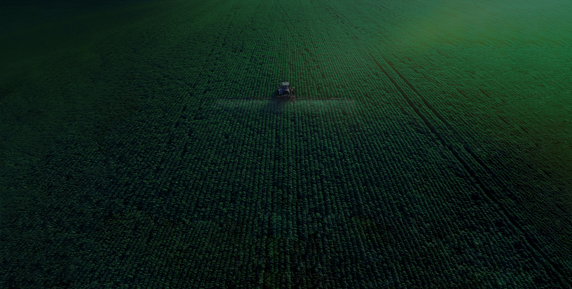 病虫害监测预警与防控专家