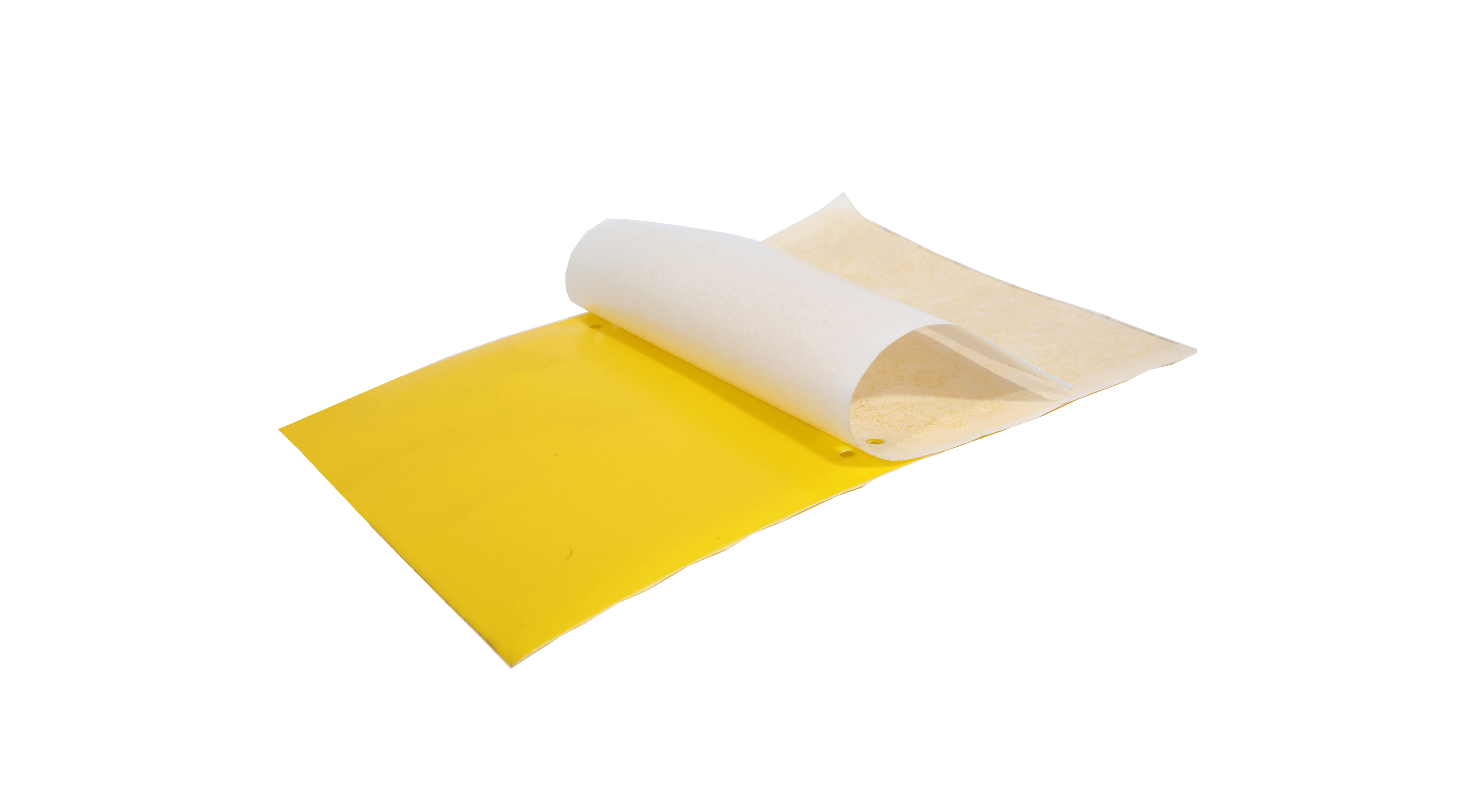 1 全降解粘虫板.png