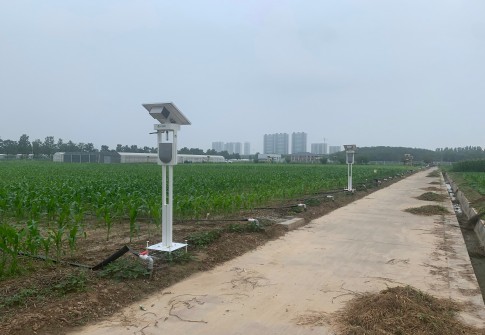 风吸式杀虫灯:智慧农业新武器