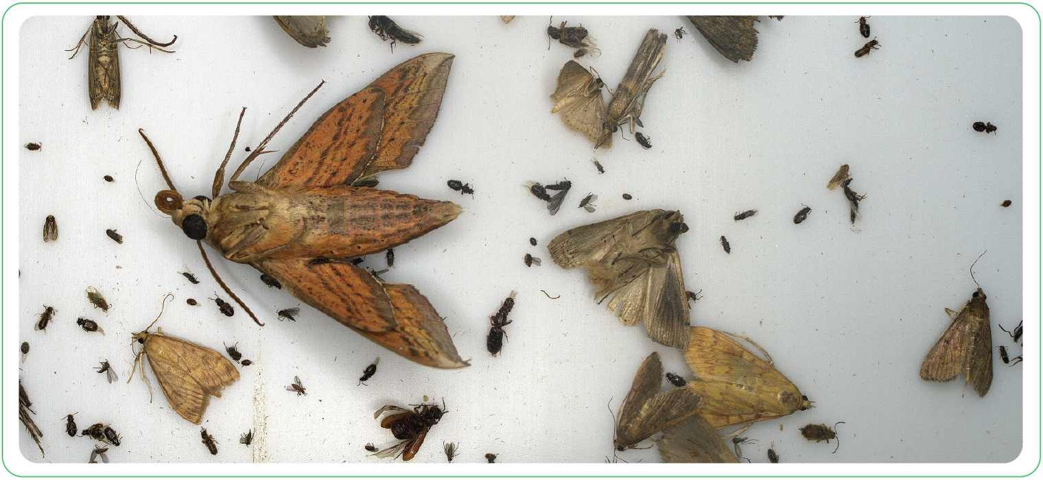 2000万工业相机  拍照更高清