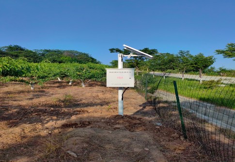 科学管理土壤水分:智能土壤墒情监测系统