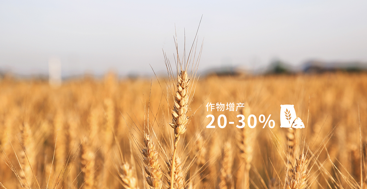 提高作物产量和品质