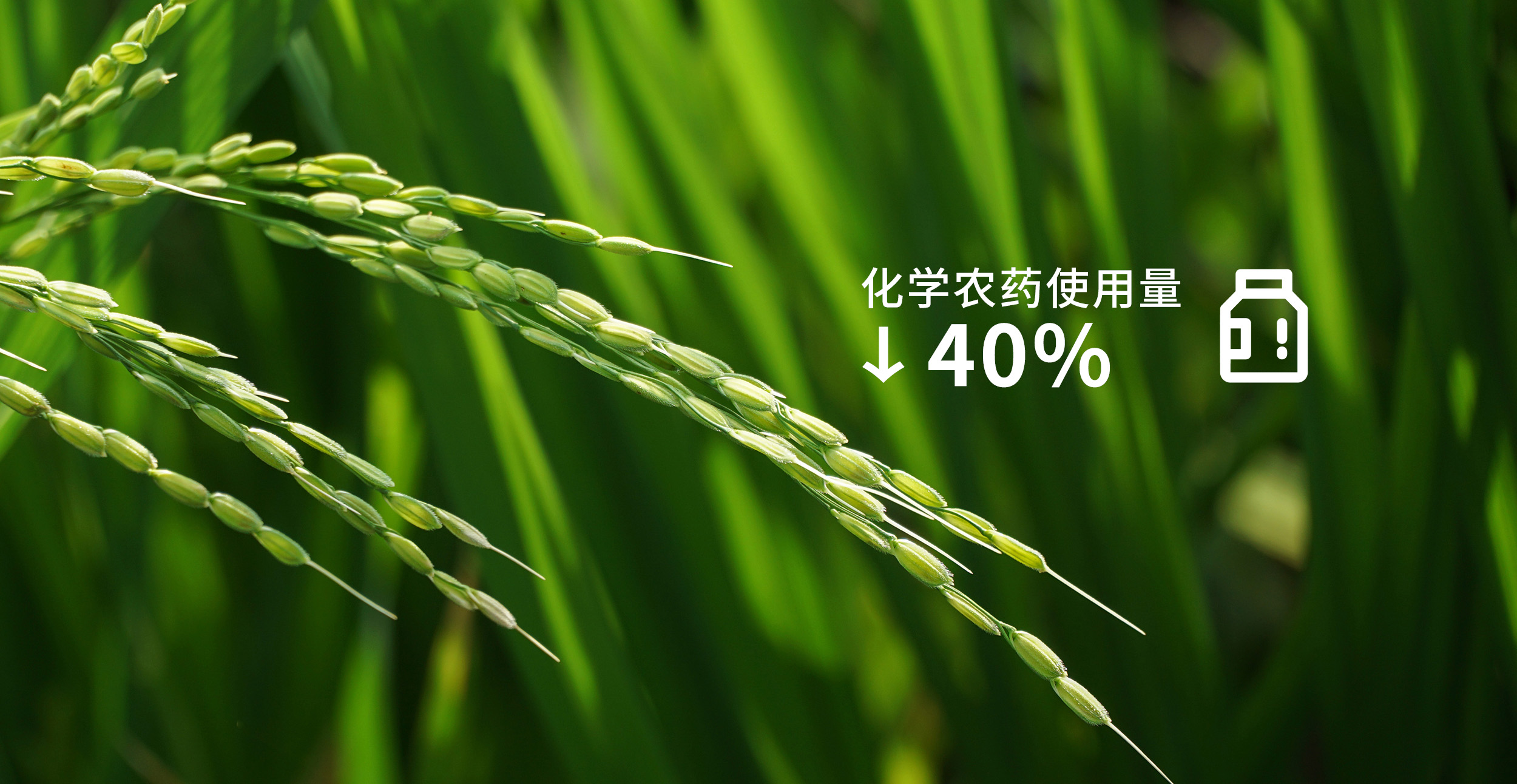 生态与经济双赢