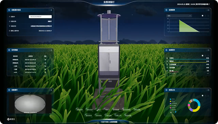 可视化界面展示