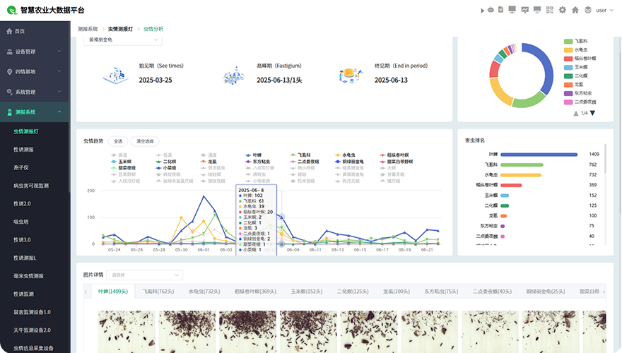 害虫走势多维度展示分析 