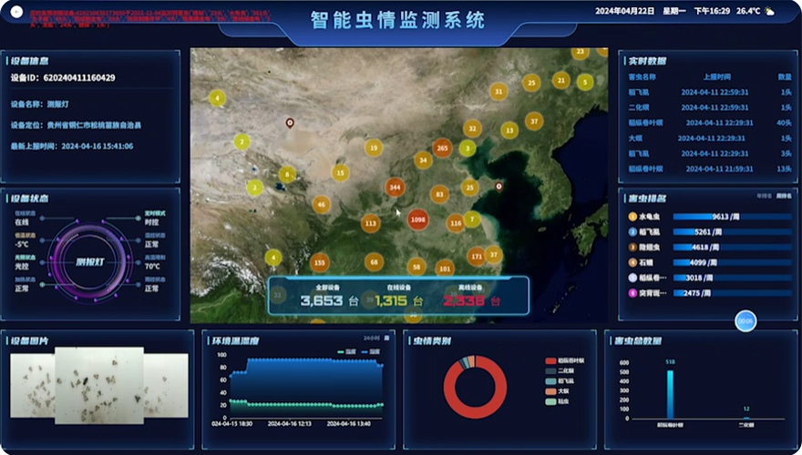 可视化界面展示