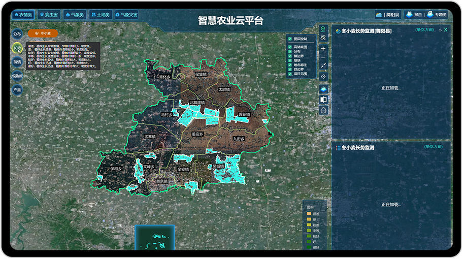 遥感监测应用系统 