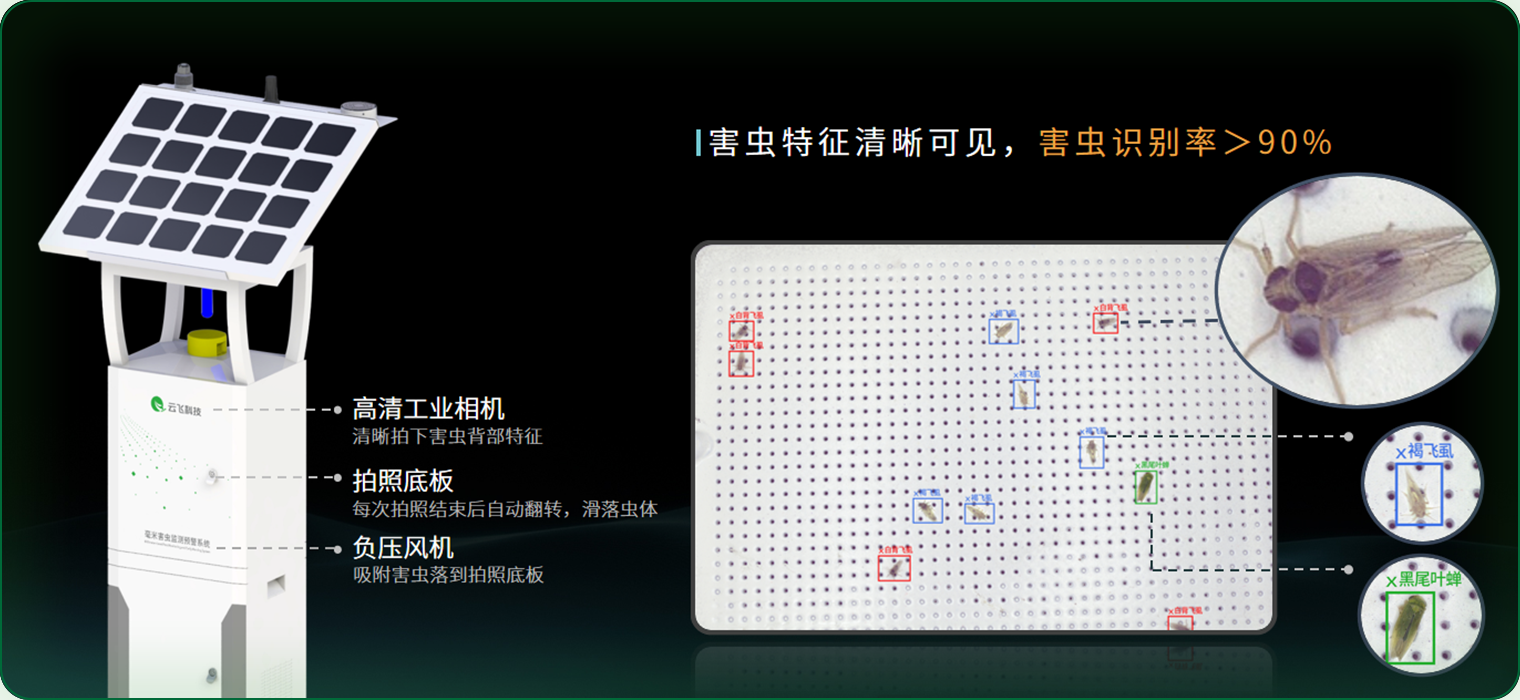 活虫拍照 精准识别