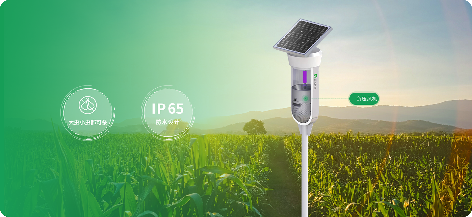 大虫小虫都可杀 晴天雨天都能用