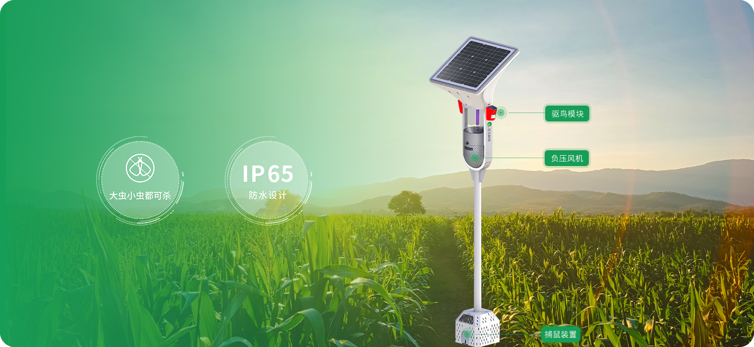 虫鸟鼠一网打尽！