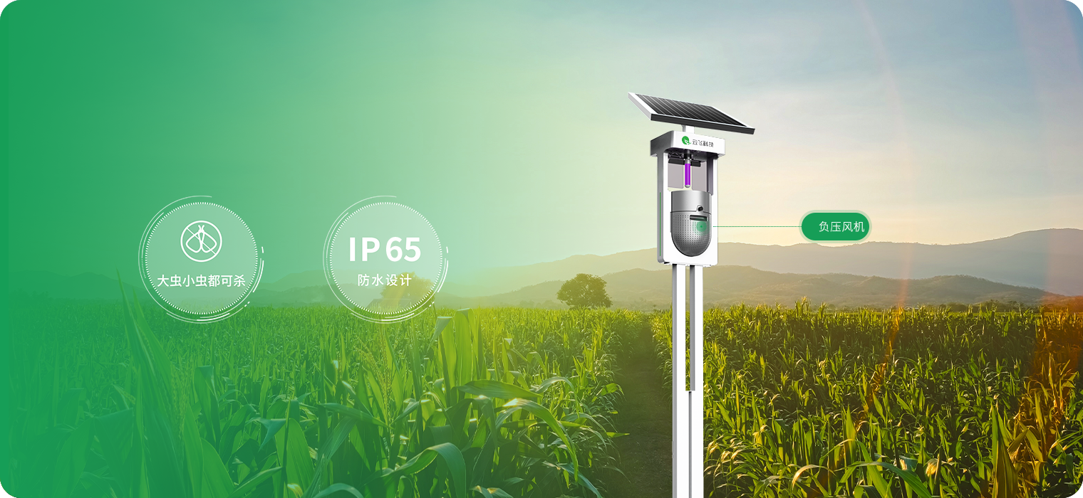 大虫小虫都可杀 晴天雨天都能用