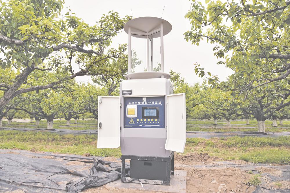 阿里云砀山梨园：当2500年老树遇见“数字哨兵”