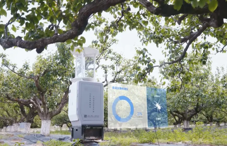 阿里云砀山梨园当2500年老树遇见“数字哨兵”