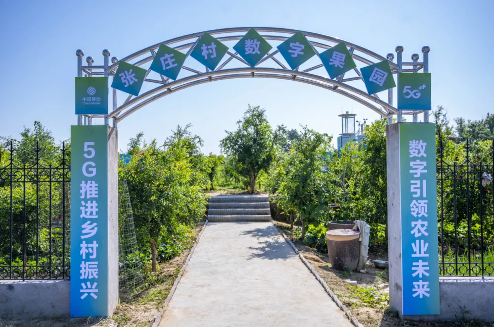 中国移动5G+智慧果园种石榴有了“新科技”