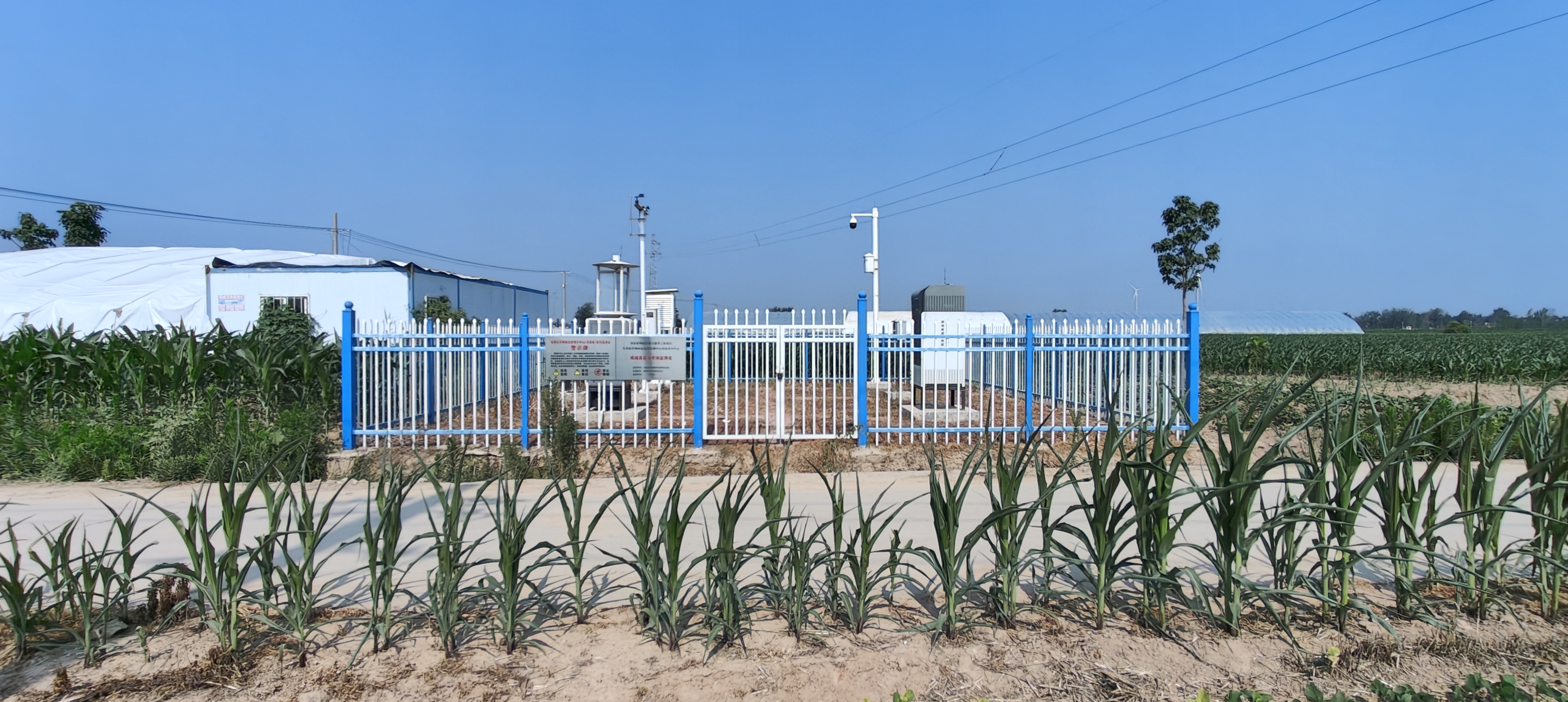 河南植保能力提升项目：筑牢智慧植保数字防线