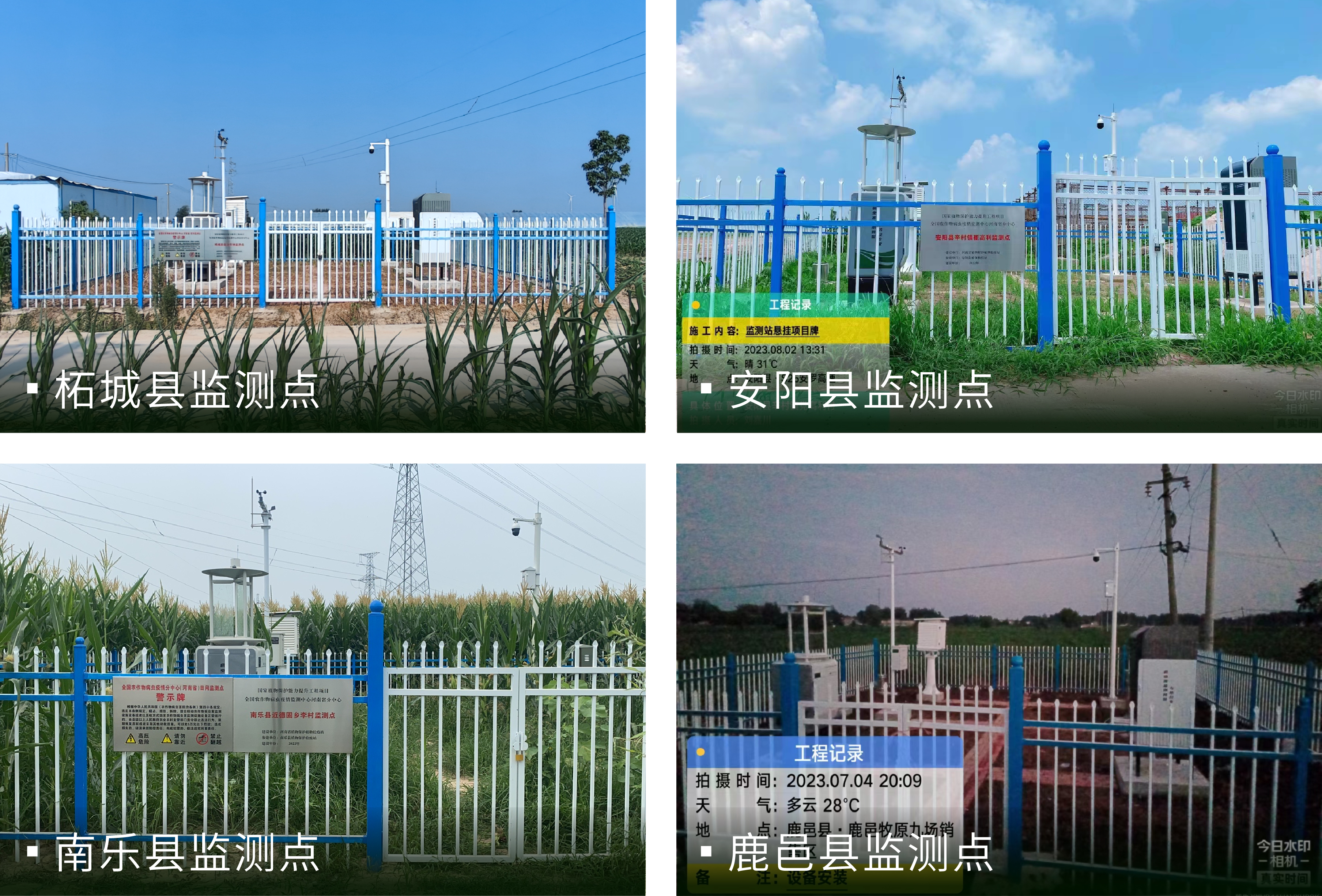 河南植保能力提升项目筑牢智慧植保数字防线