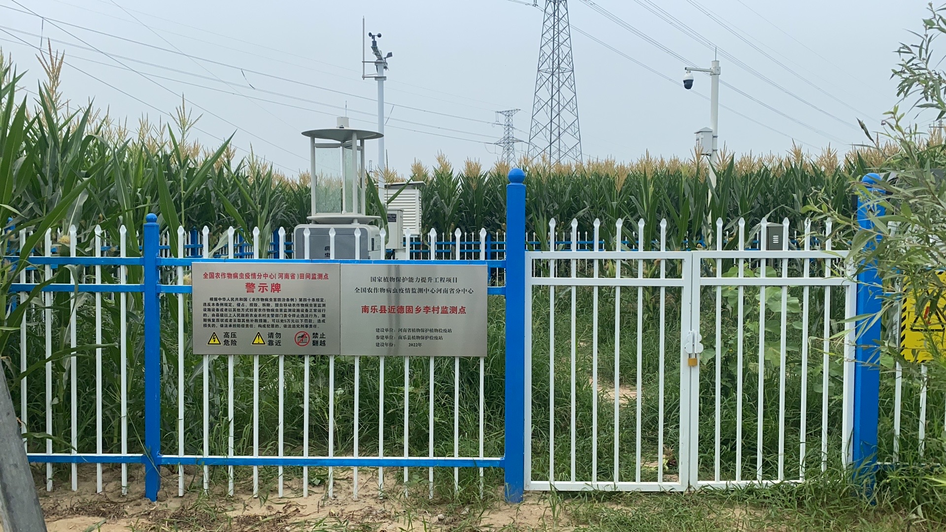 河南植保能力提升项目筑牢智慧植保数字防线