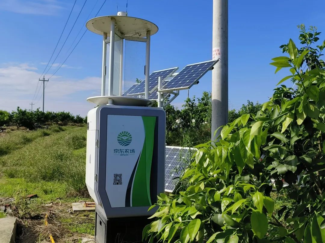 京东农场健康餐桌背后的数字守护