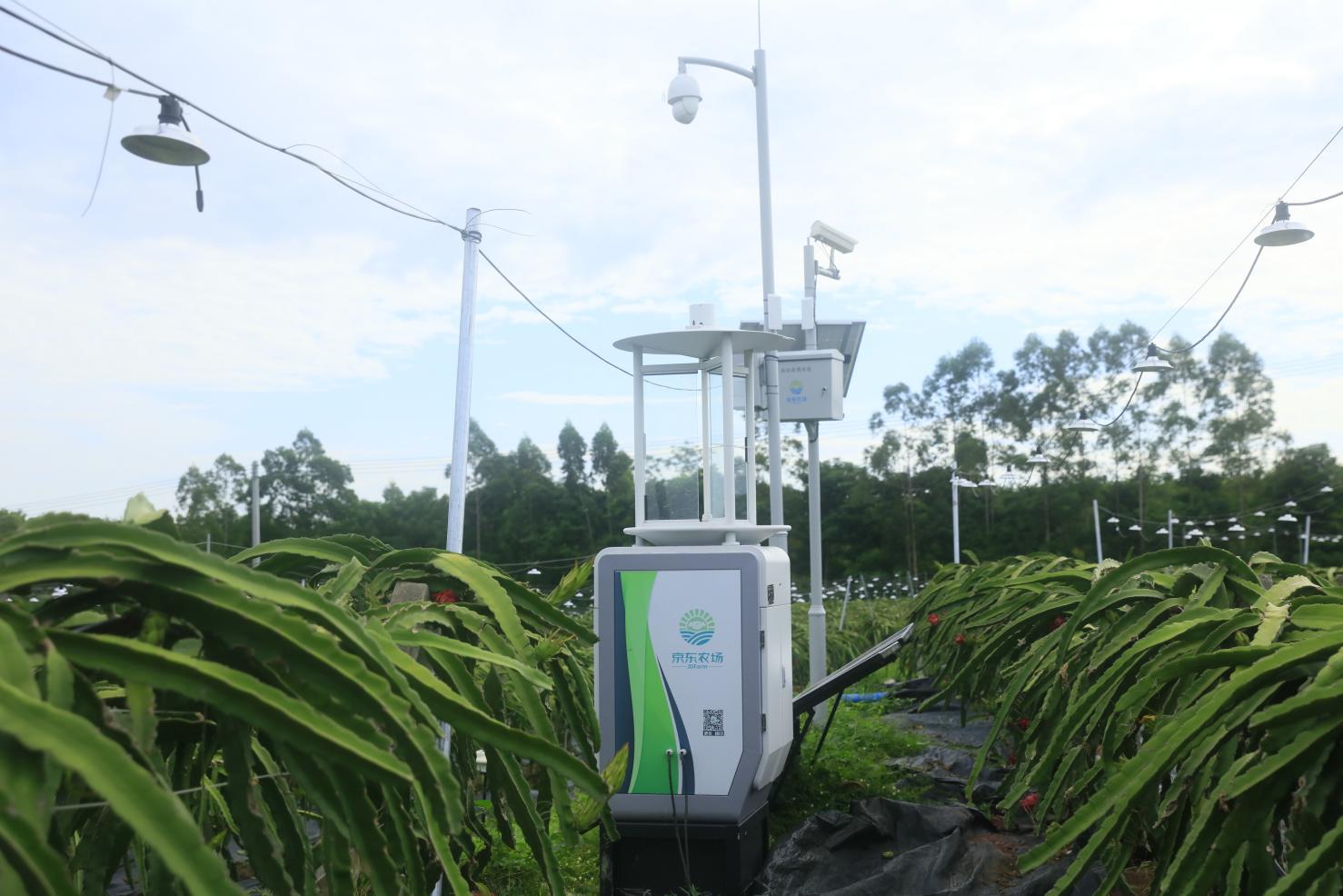 京东农场健康餐桌背后的数字守护