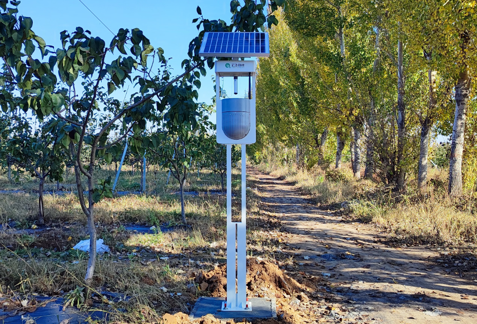 为什么你的后院驱蚊器会伤害生态系统，而不是讨厌的蚊子？