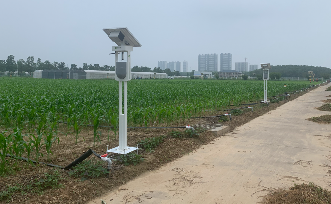 害虫防治的注意事项