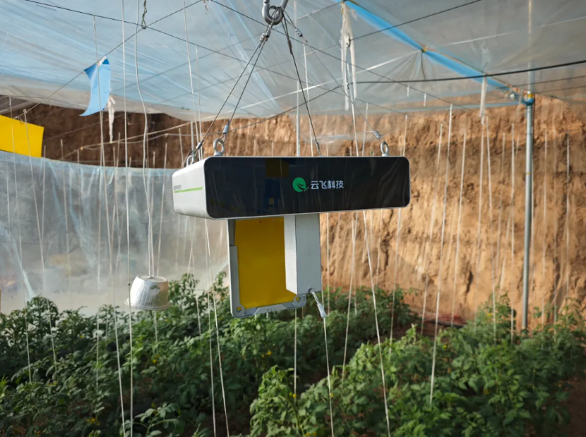 以色为饵，AI识虫 | 云飞科技智能色诱测报设备全新上市