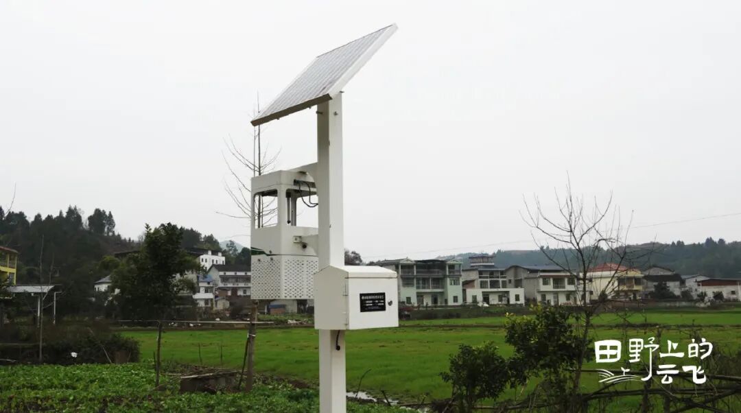 四川蓬安整县农业信息化项目丘陵农田的数字化革命